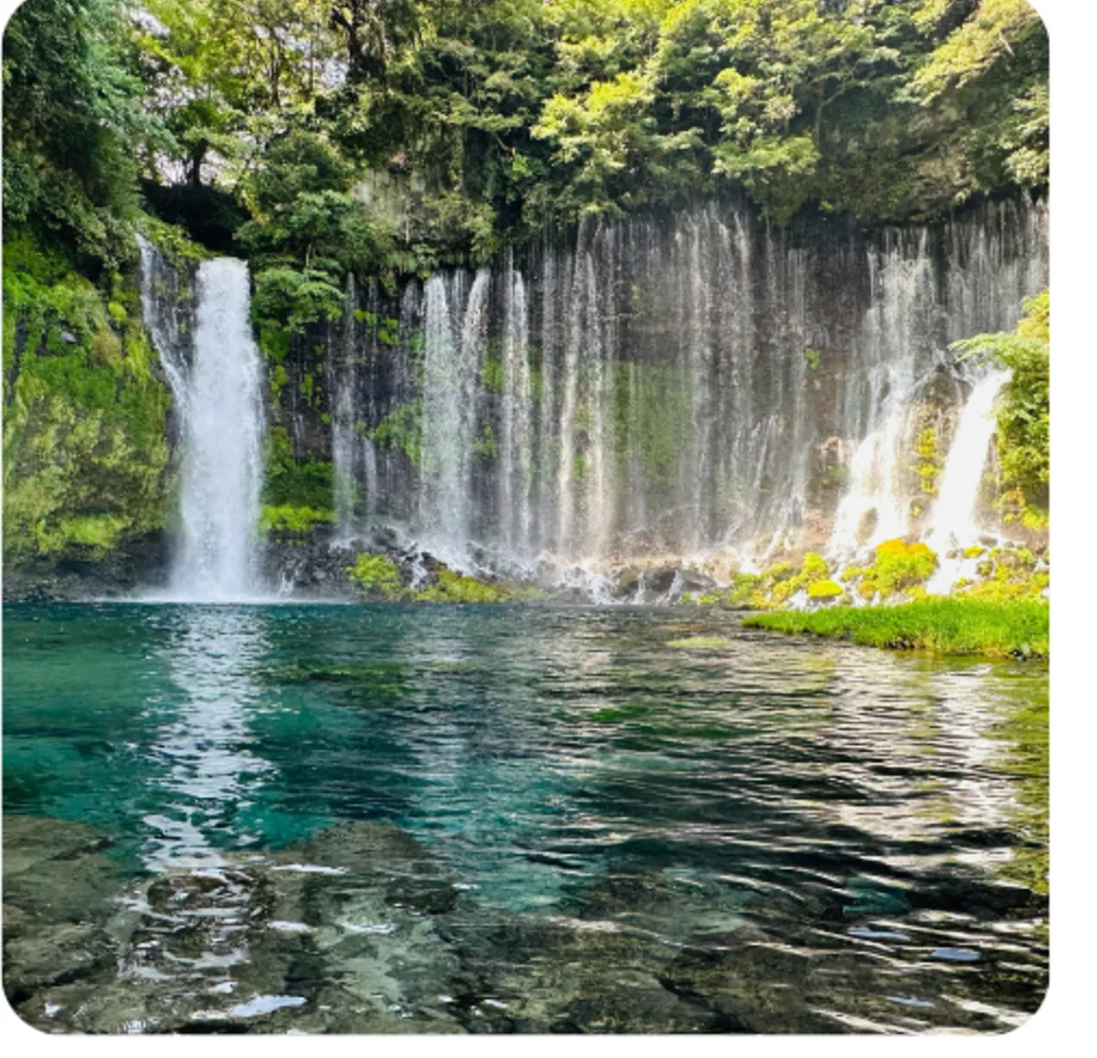Cascade naturelle entourée de végétation, symbole de la force vitale en naturopathie